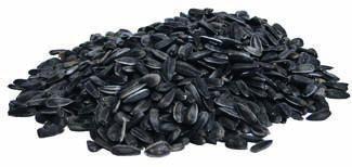 SUNFLOWER SEEDS BLACK OIL 10KG