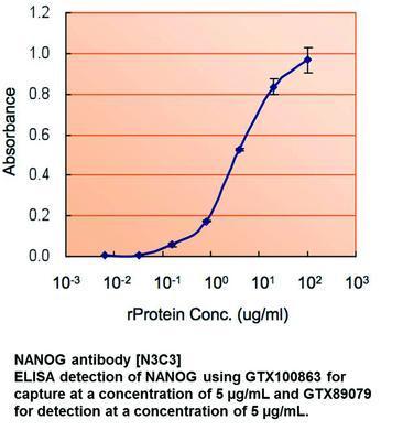 NANOG antibody [N3C3], GeneTex