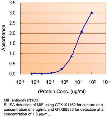 MIF antibody [N1C3], GeneTex