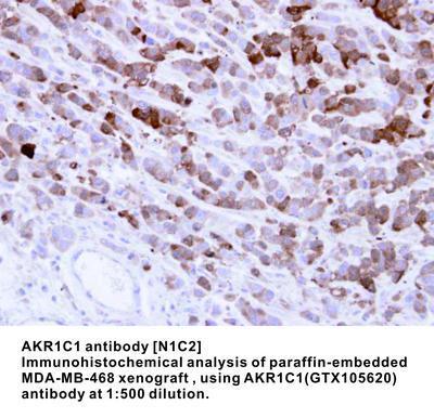 AKR1C1 antibody [N1C2], GeneTex