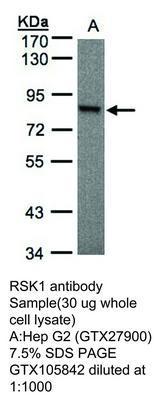 RSK1 antibody, GeneTex