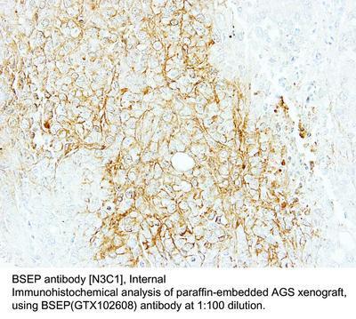 BSEP antibody [N3C1], Internal, GeneTex