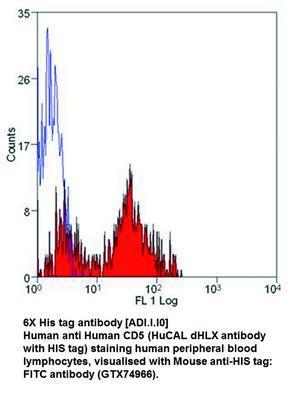 6X His tag antibody [ADI.I.I0], GeneTex