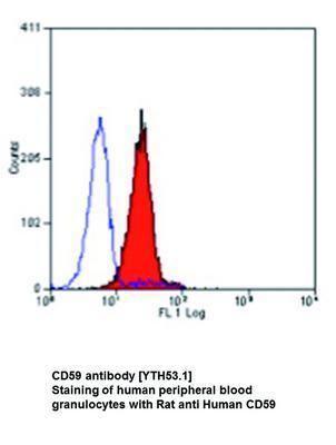 CD59 antibody [YTH53.1], GeneTex