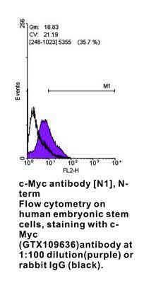 c-Myc antibody [N1], N-term, GeneTex